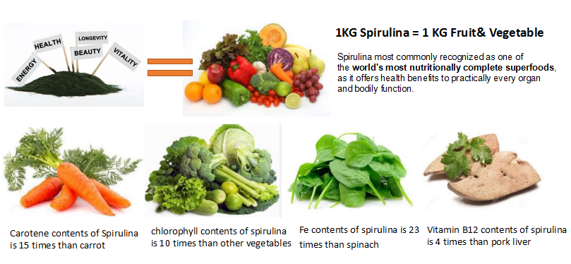 spirulina nutrition.png