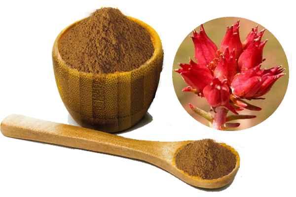 rhodiola rosea extract.png