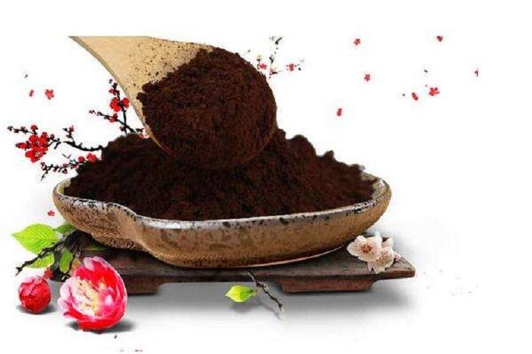 ganoderma lucidum spore powder