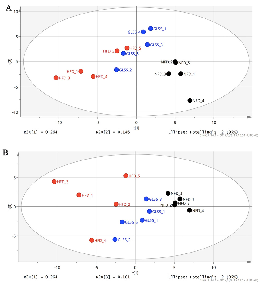 The composition of microflora of caecum in rats