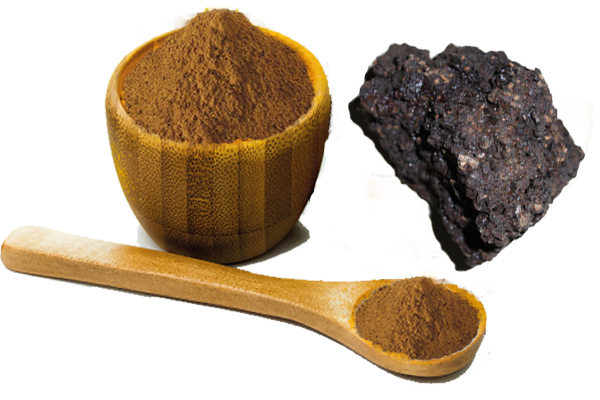 Pure Himalaya Shilajit Extract Powder